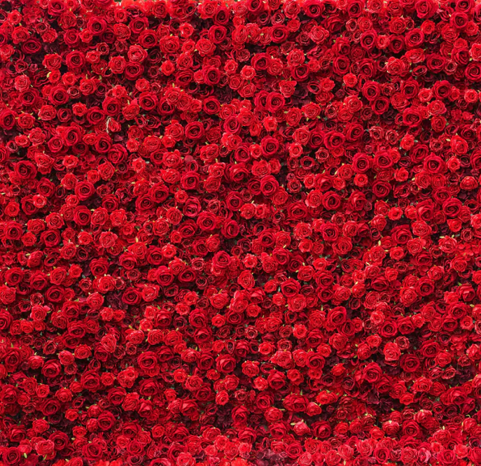 Red Rose Flower Wall